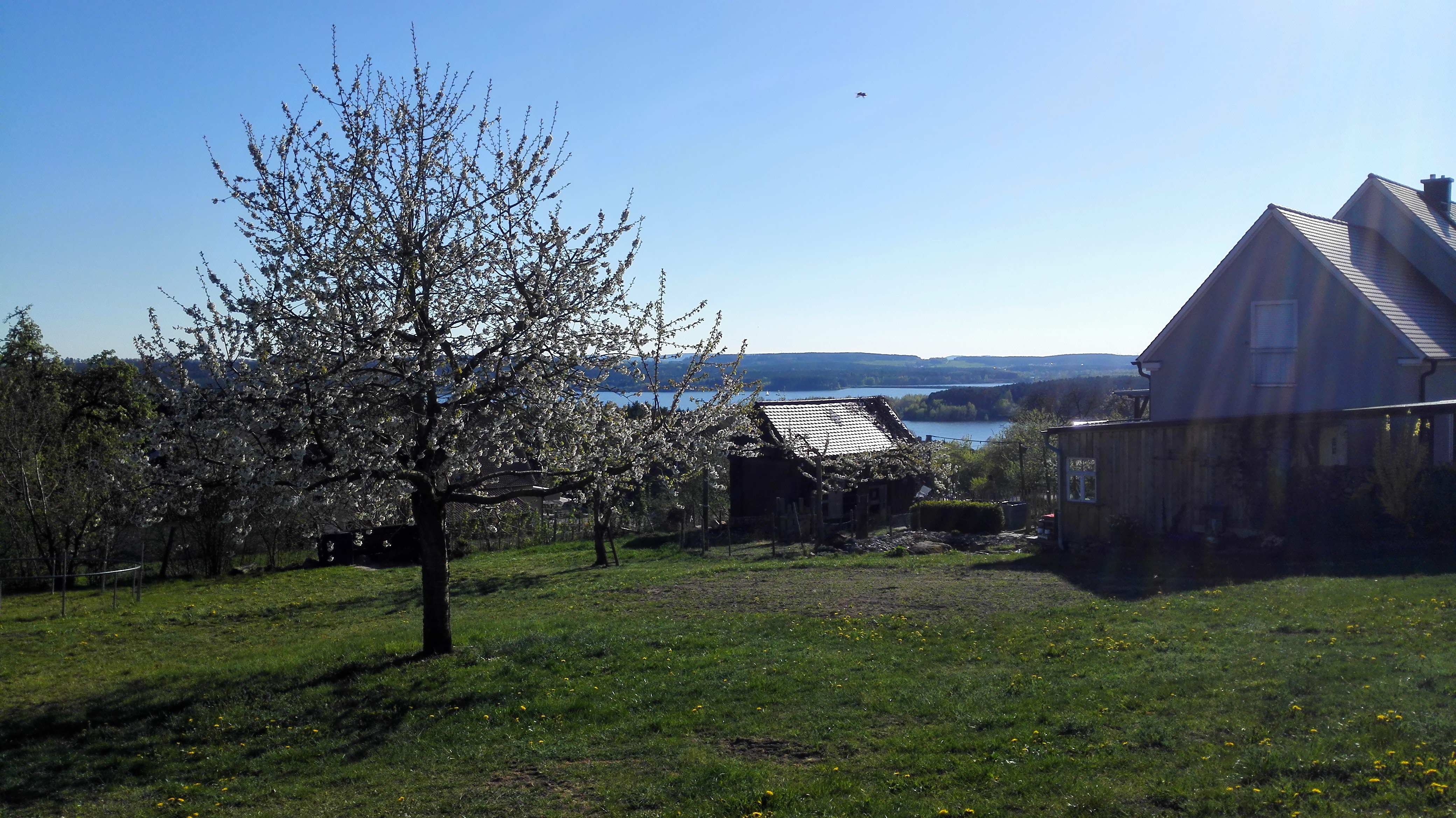 Seeblick in Ottmannsberg