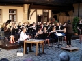 WEO_Sommerkonzert16 (3)
