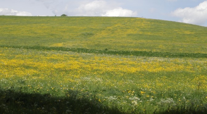 “Sommerdank” … Hymne an den Sommer